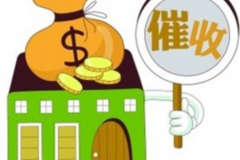 安化债务清欠服务